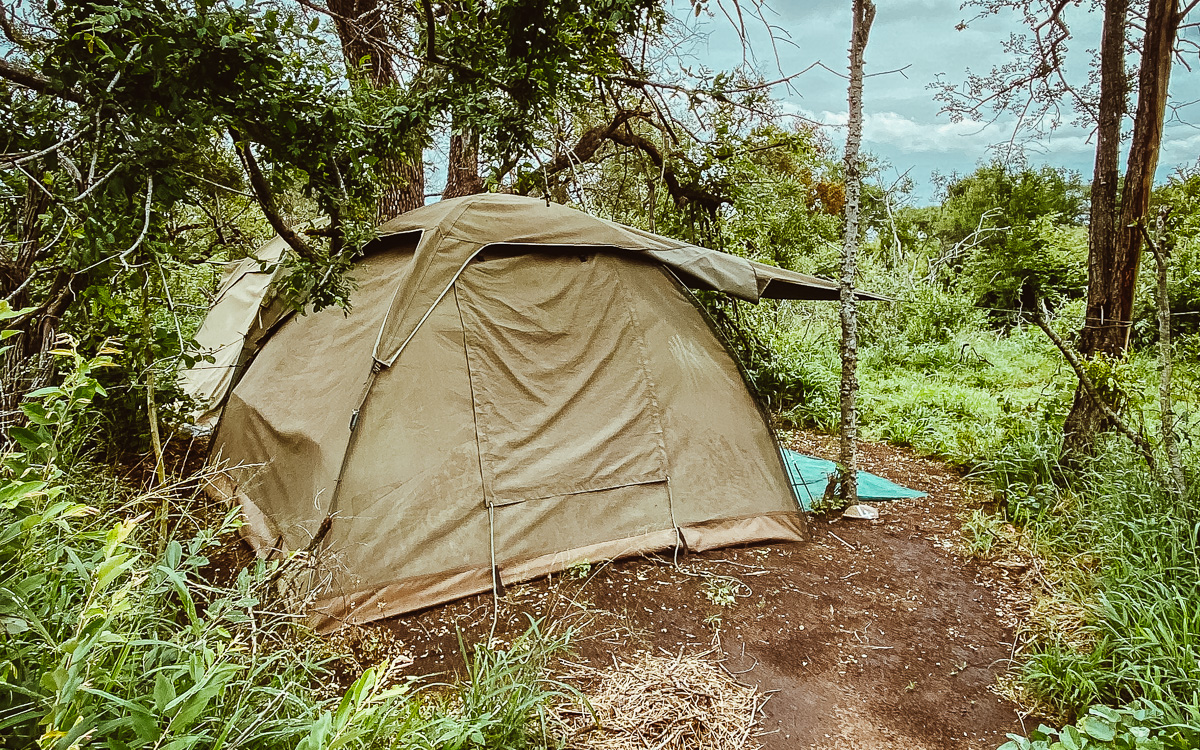 Pridelands Camp Ranger Ausbildung