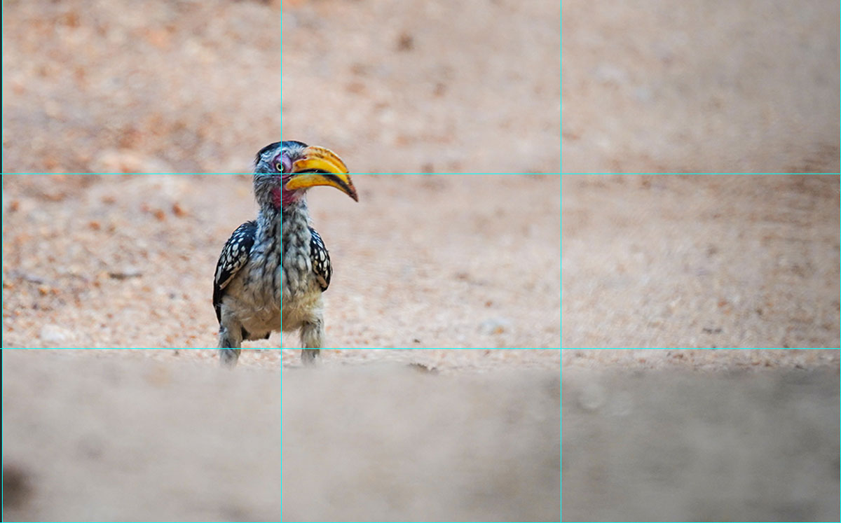 Aktiviere die Rasteransicht und platziere dein Objekt auf einer der Kreuzungspunkte.