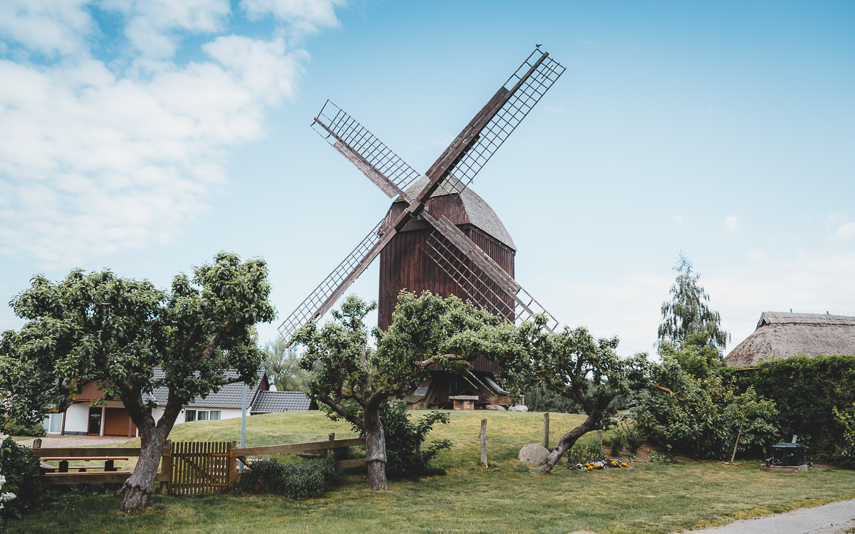 Greifswald Bockwindmühle Eldena