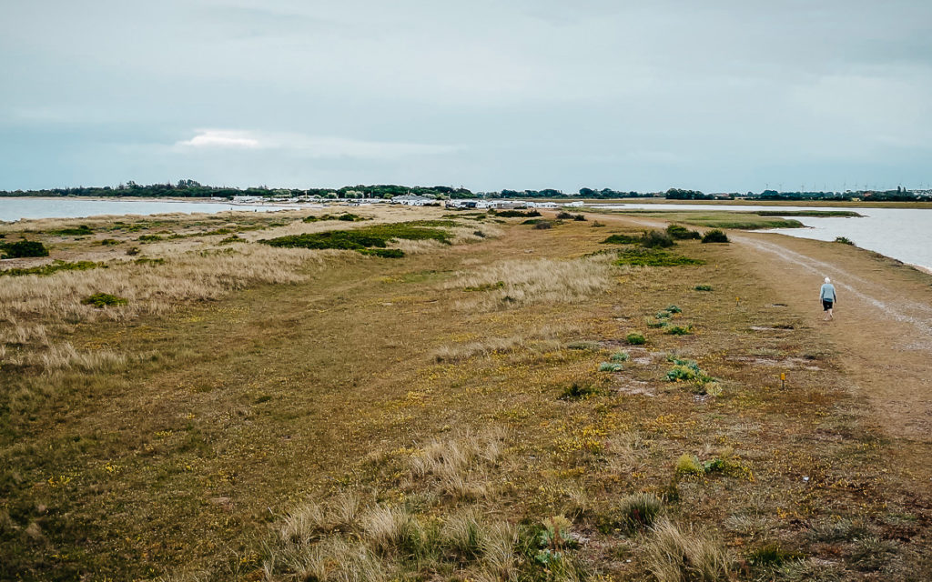 Insel Fehmarn Fehmarnbelt Campingplatz