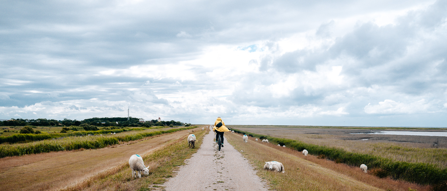 Insel Fehmarn Radwege