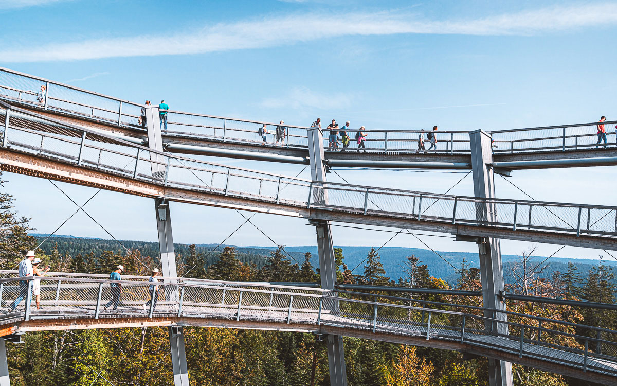 Beste Aussicht vom Baumwipfelpfad Schwarzwald