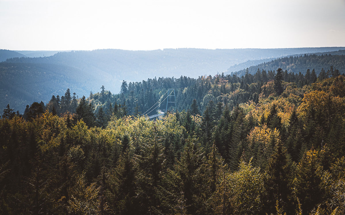 Blick auf die Hängebrücke Wildline