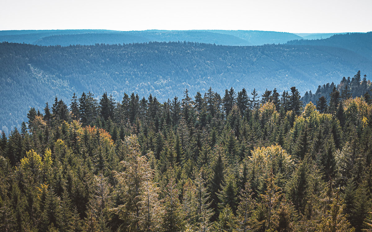 Aussicht Sommerberg Bad Wildbad Schwarzwald
