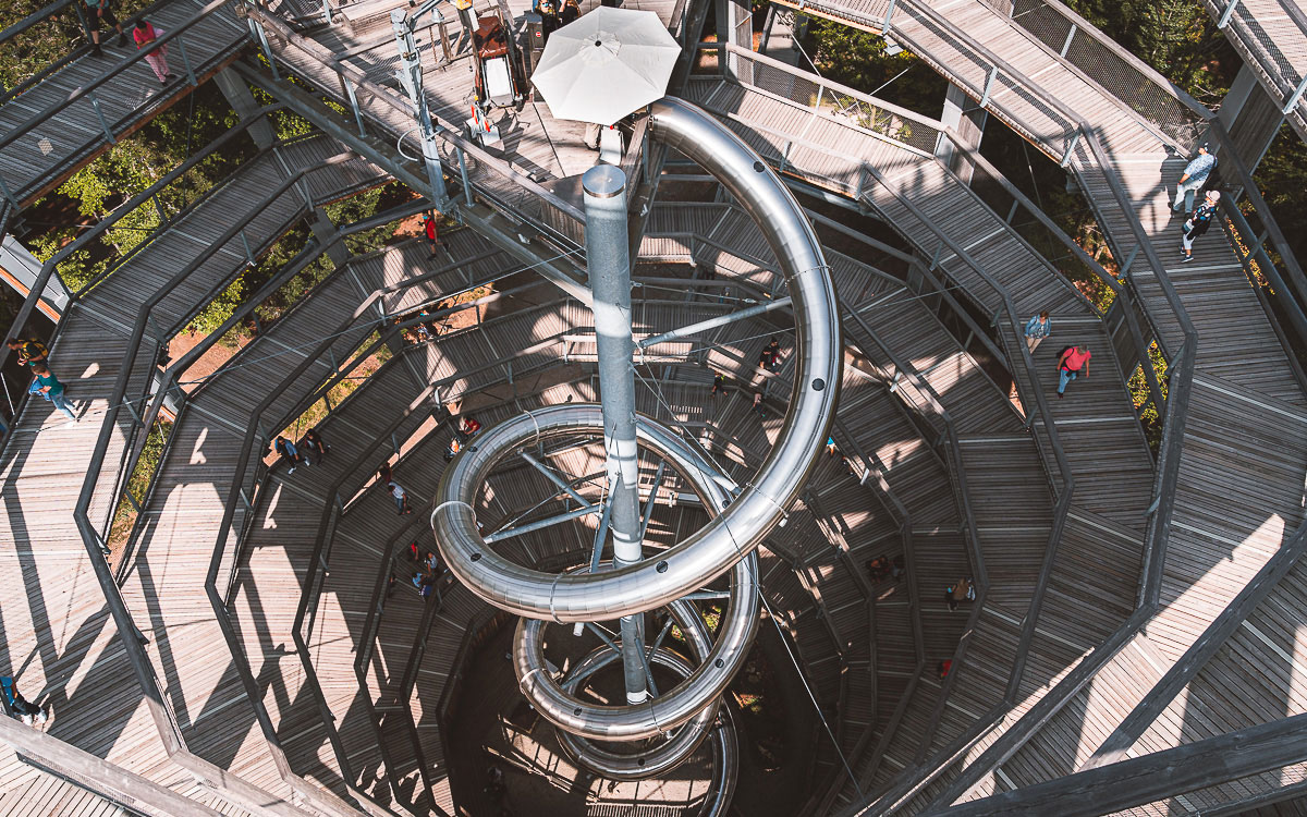 Rutsche hinab beim Baumwipfelpfad Schwarzwald