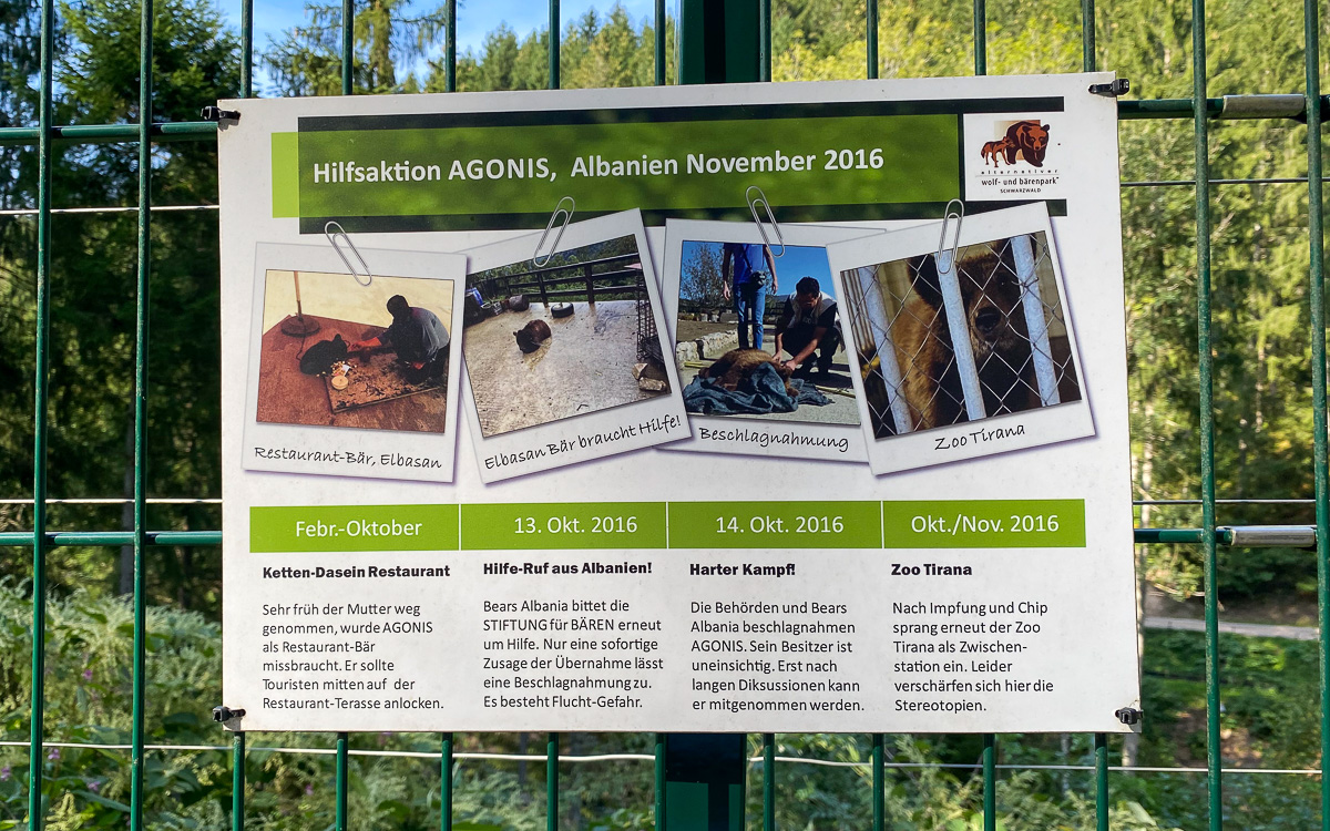 Tafeln mit Infos im Wolf- und Bärenpark Schwarzwald in Bad Rippoldsau-Schapbach