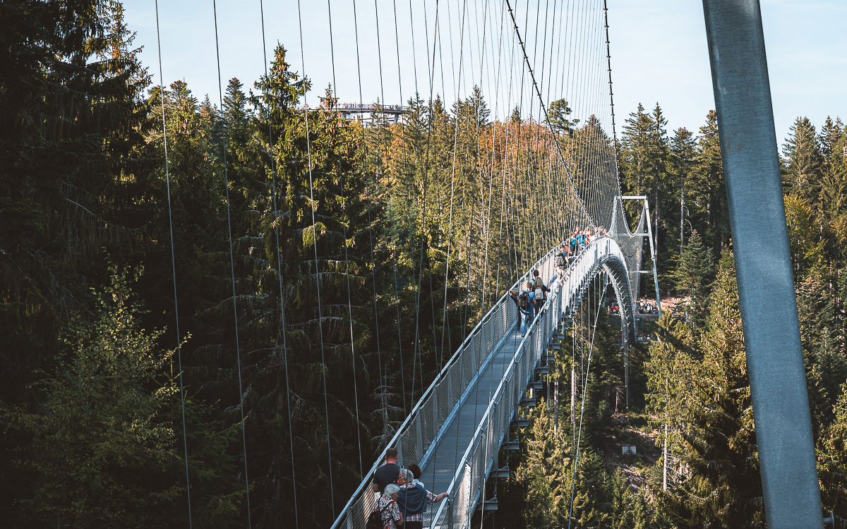 Wildline Hängebrücke Bad Wildbad Schwarzwald