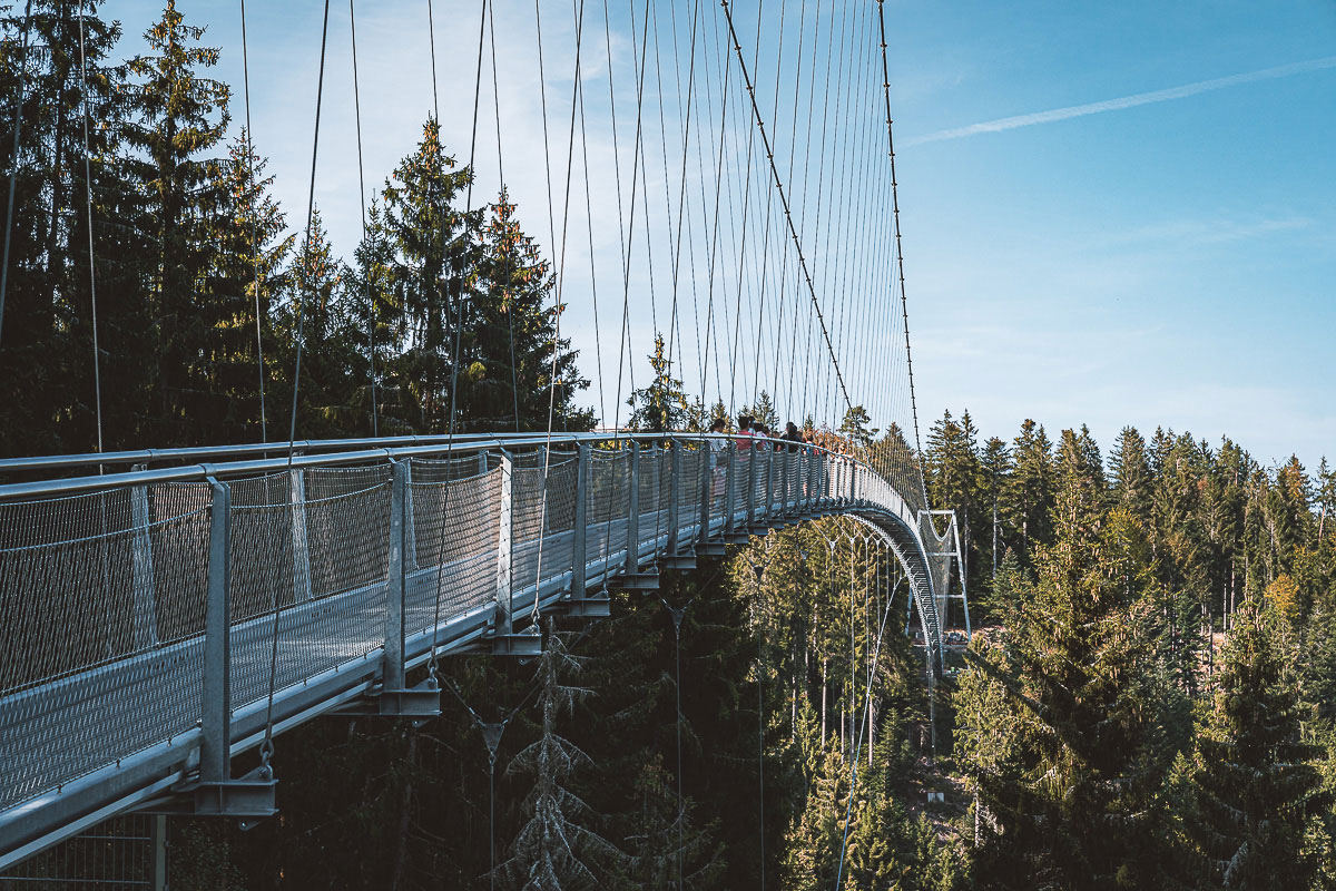 Immer was los auf der Hängebrücke Wildline
