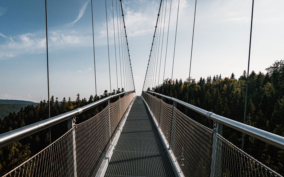 Über die Hängebrücke Wildline
