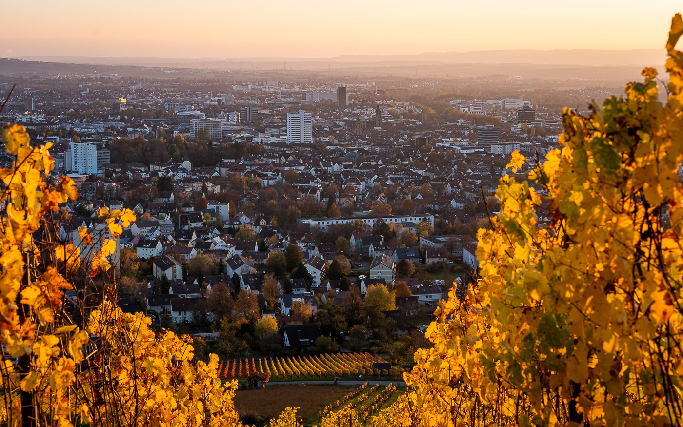 Heilbronn Wartberg Aussicht