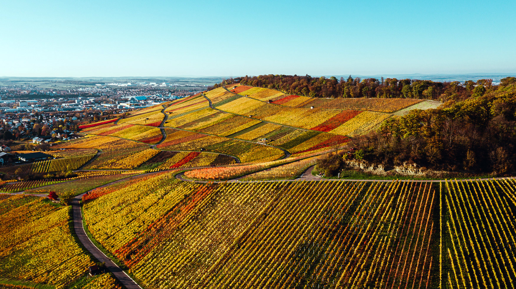 Weinberge Heilbronn Herbst