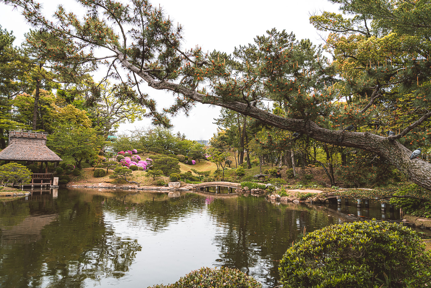 Shukkei-en Park Hiroshima