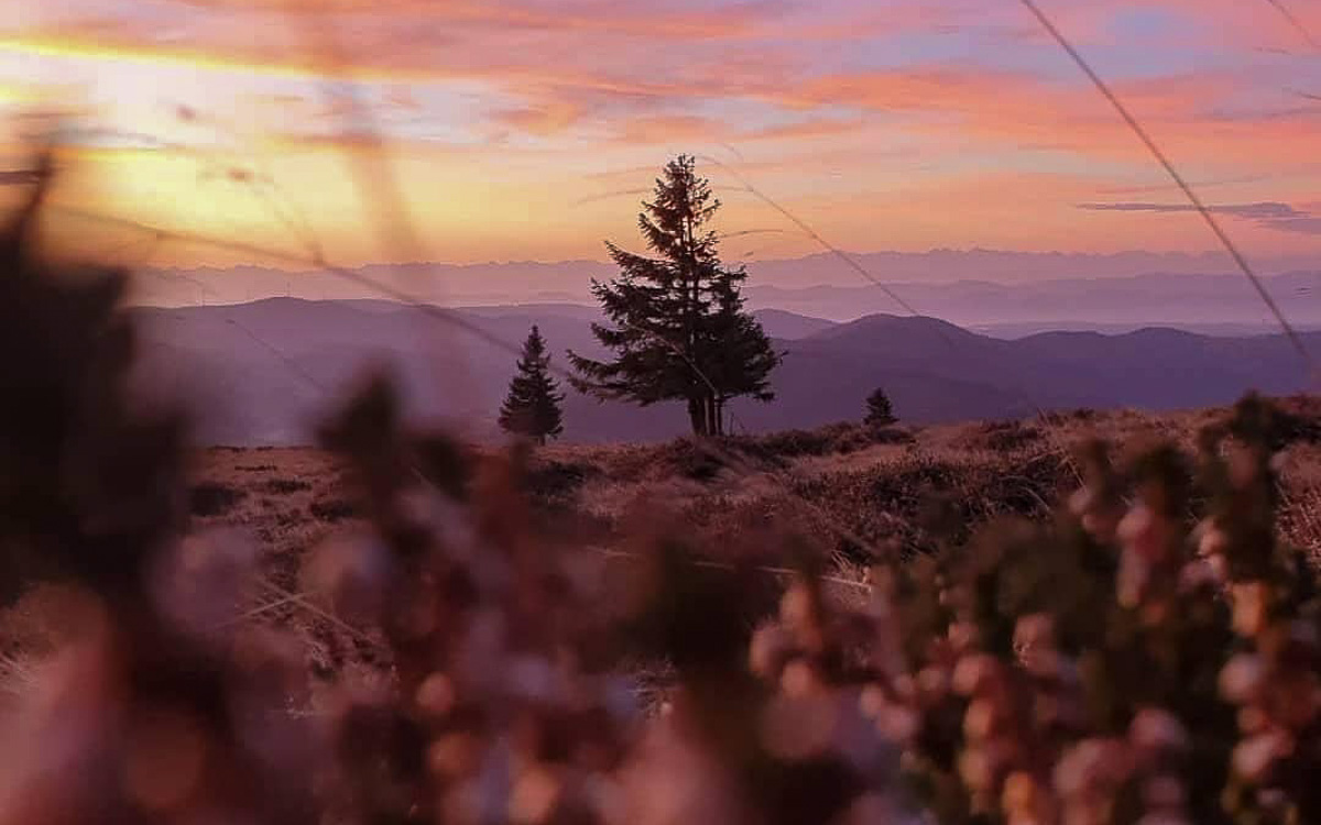 Sonnenaufgang Belchen Schwarzwald