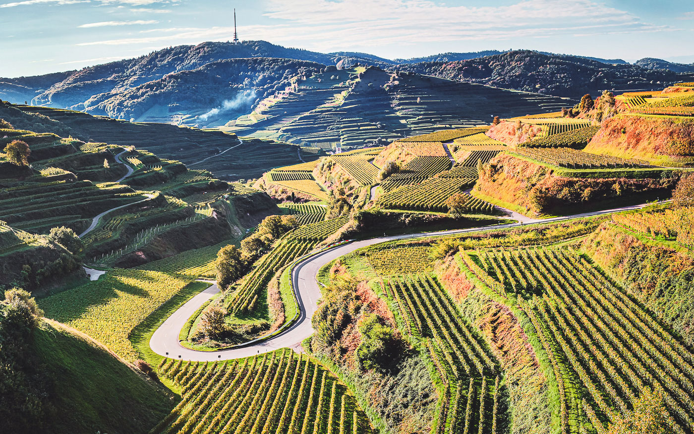 Deutsche Weinstraße Kaiserstuhl