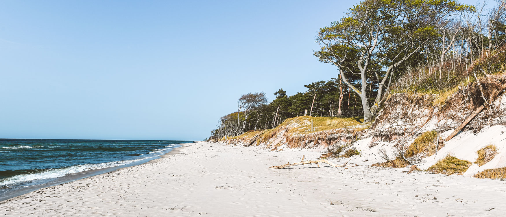 Ostsee Strand Darß Weststrand
