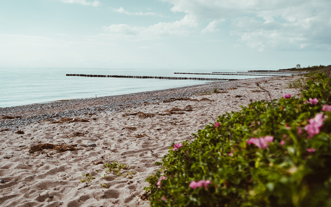 Insel Rügen Nonnewitz Sommerferien