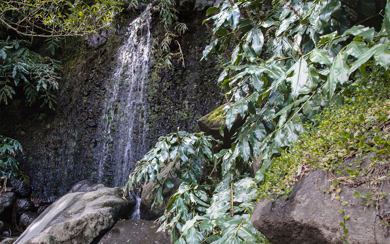 Nicht der Salto do Prego Azoreninsel Sao Miguel
