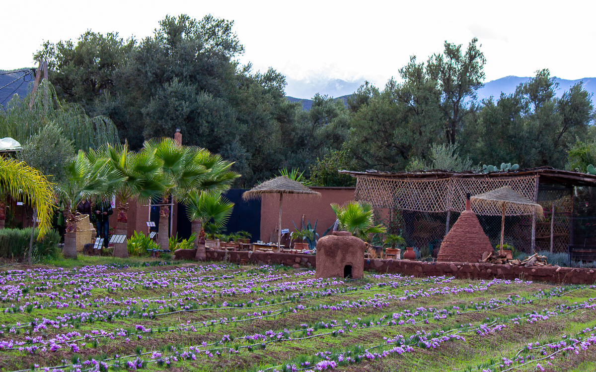 Paradis du Safran im Ourikatal außerhalb MaArrakesch