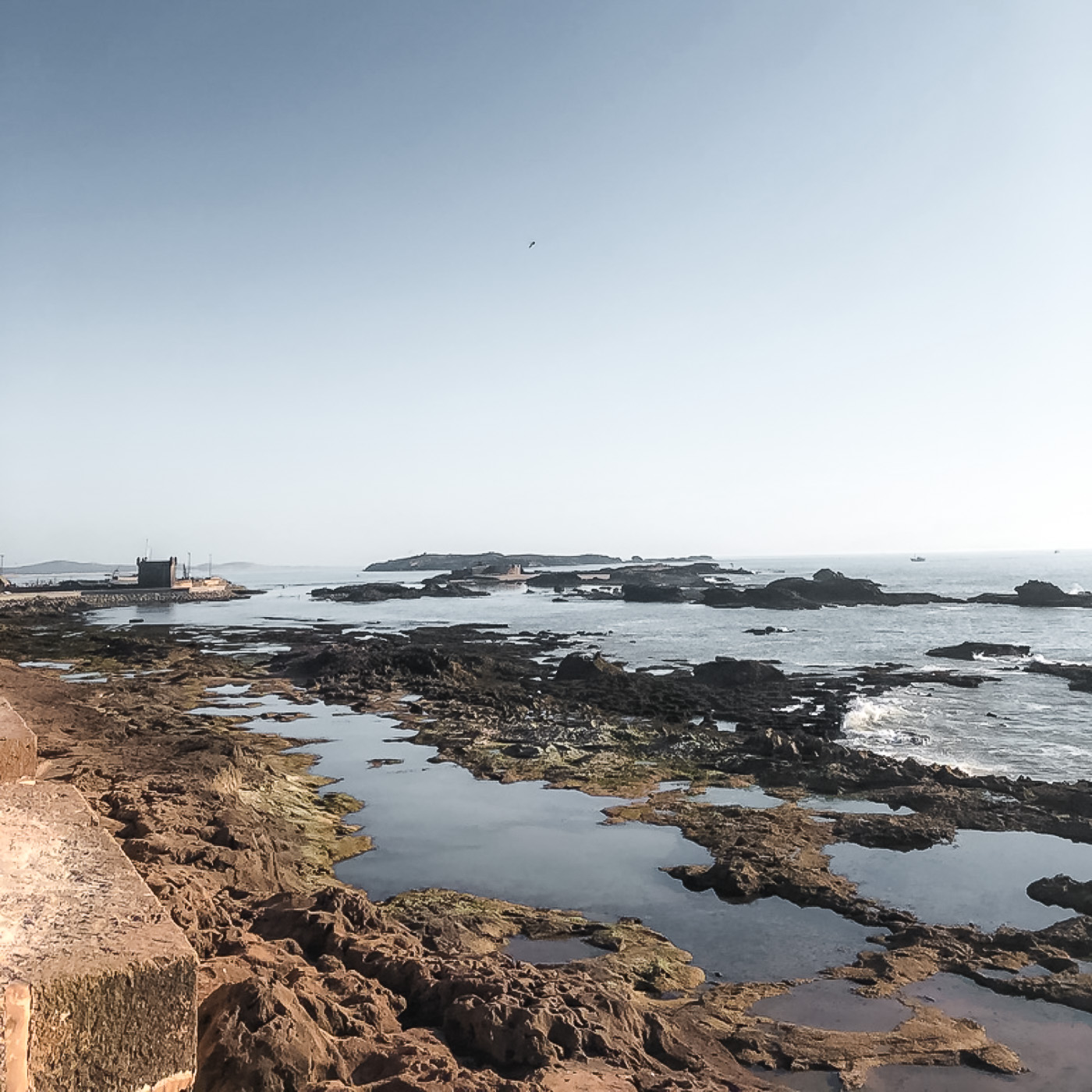 Spaziergang auf Stadtmauer in Essaouria