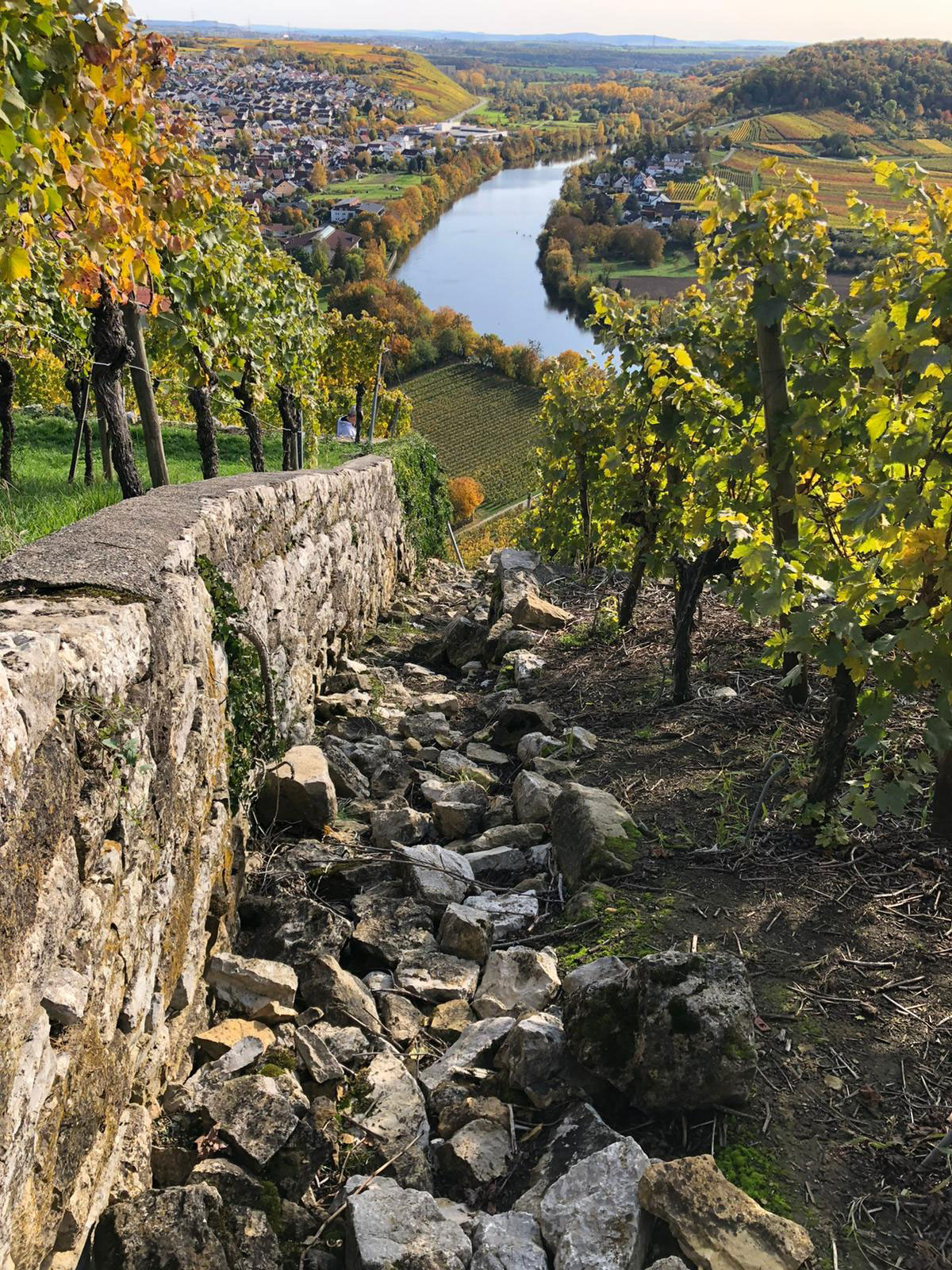 Felsengärten Hessigheim Wanderung