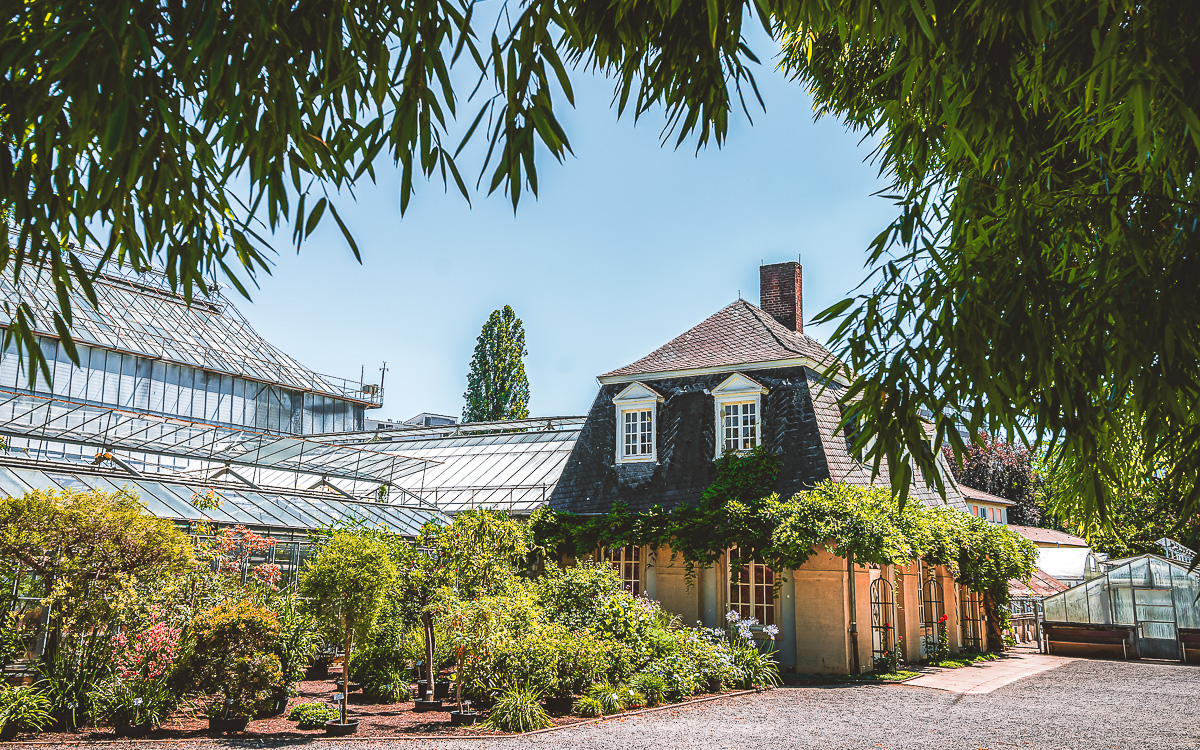 Botanischer Garten in Heidelberg © Tobias Schwerdt