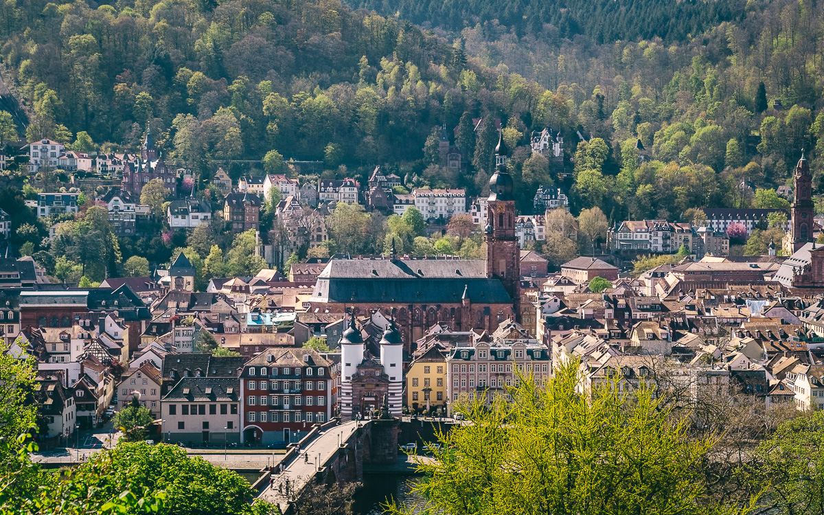 Die Heiliggeistkirche in Heidelberg überragt alle Gebäude der Altstadt.