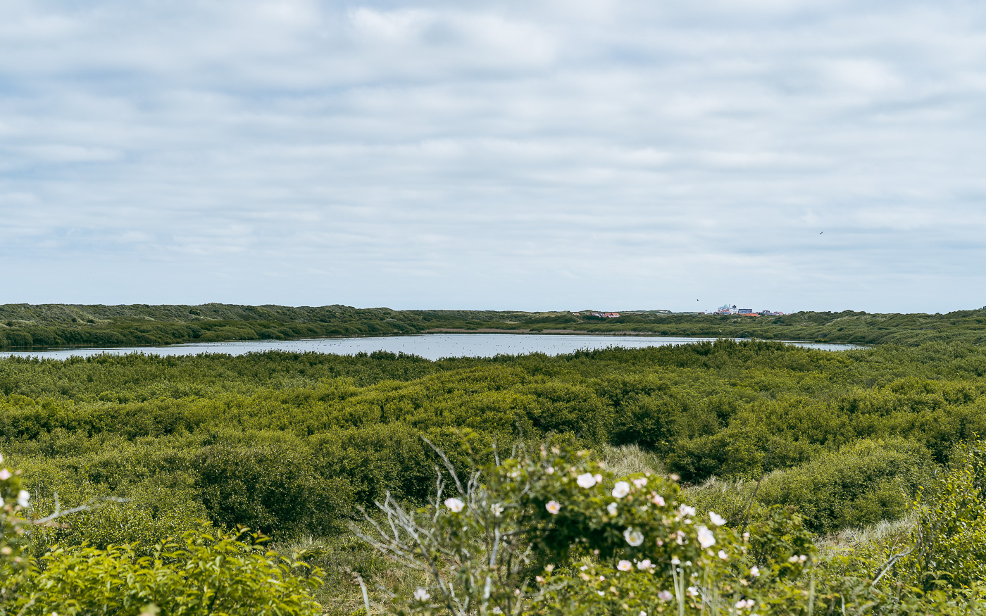 Hammersee auf der Insel Juist