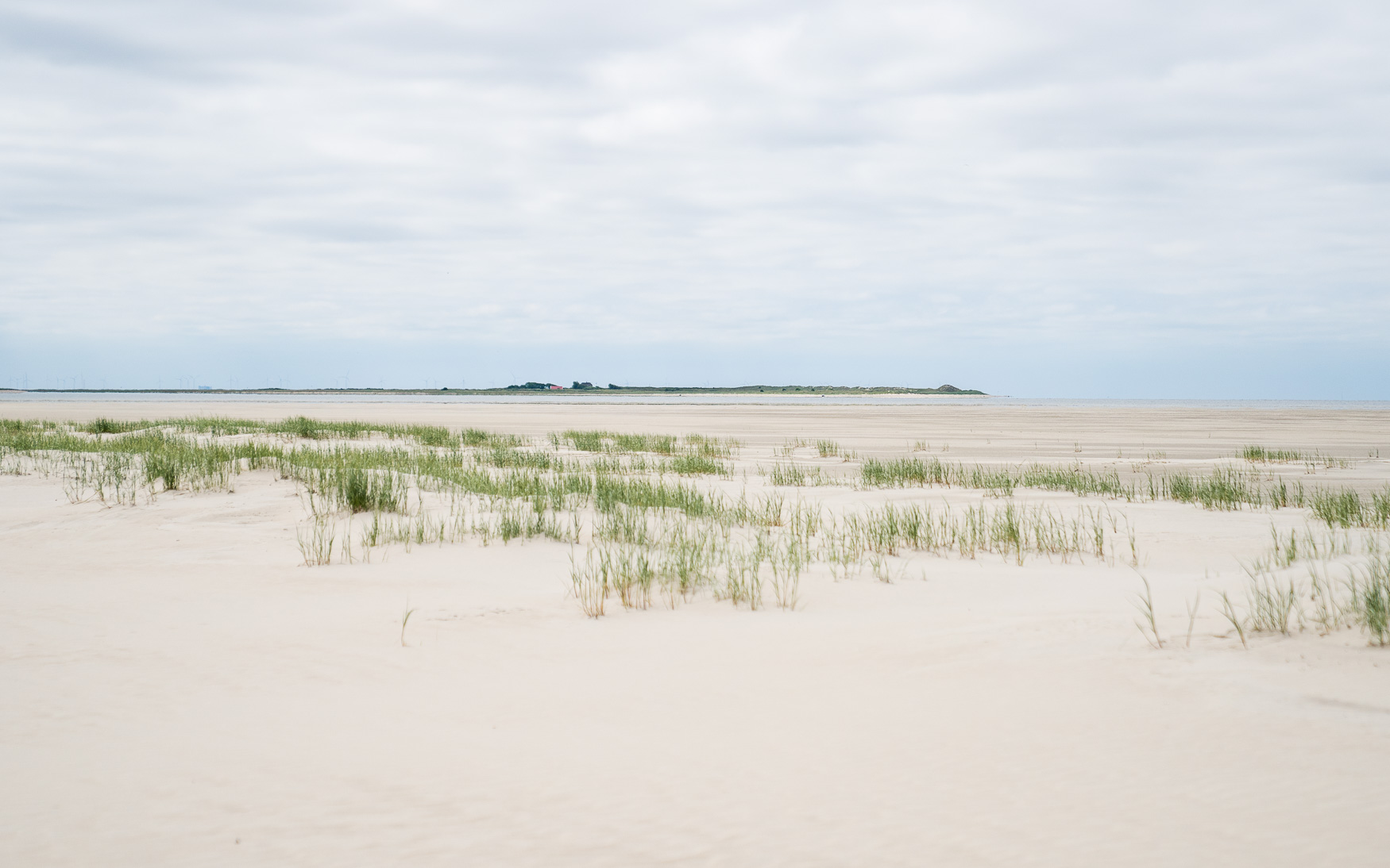 Vogelinsel Memmert vom Billriff auf Juist aus