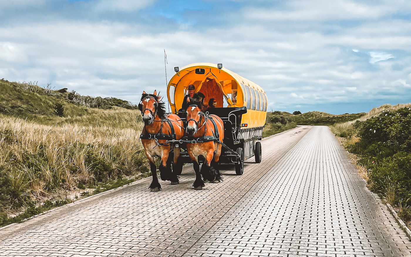 Fortbewegungsmittel auf Juist neben dem Fahrrad: Pferdekutschen