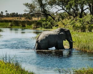Botswana Reisetipps