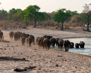 caprivi-namibia-bwabata-nationalpark