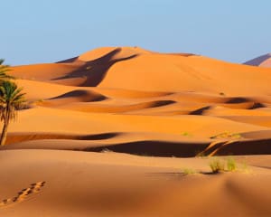Marokko Blog: Reiseberichte mit Tipps & Erfahrungen