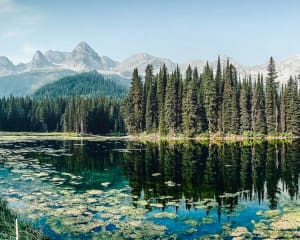 Nordamerika Blog: Reiseberichte & Tipps