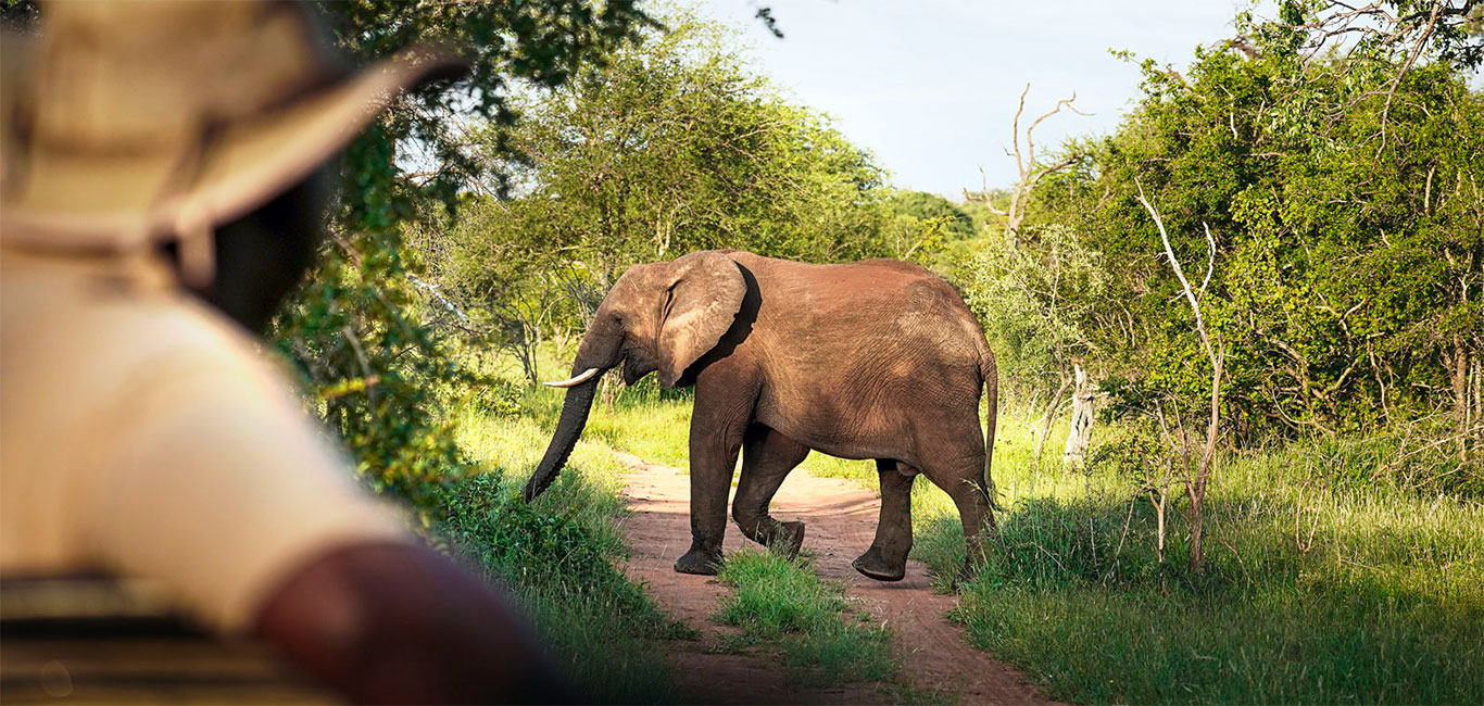 Ranger-Ausbildung in Südafrika mit EcoTraining Ranger-Ausbildung in Südafrika mit EcoTraining