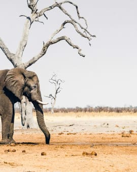 Reiseblog Afrika Reiseberichte