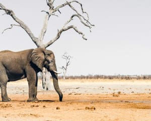 Reiseblog Afrika Reiseberichte