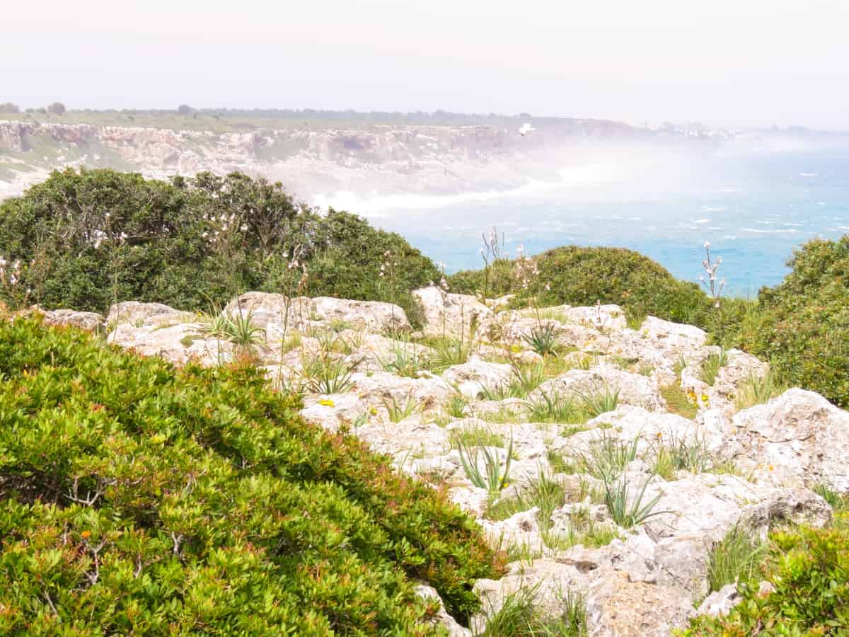 Ausblick auf die Cala Romàntica
