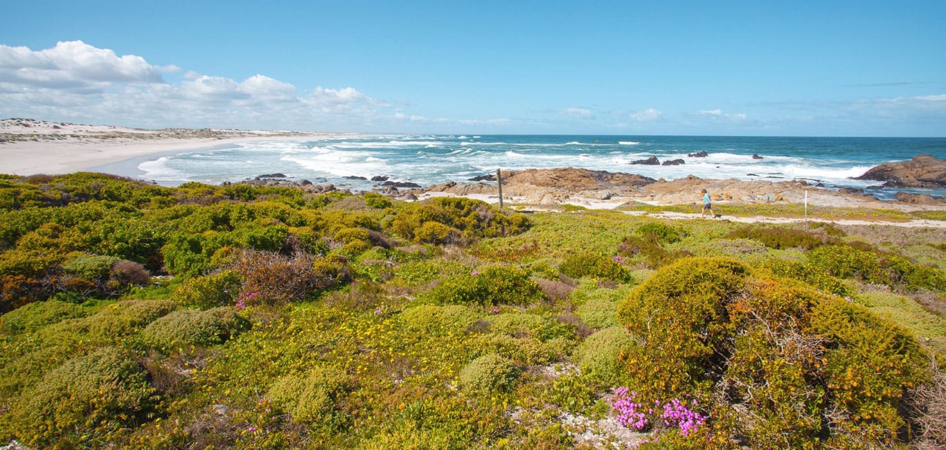 West Coast National Park Südfrika
