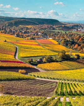 Ausflugsziele rund um Heilbronn: 33 Tipps
