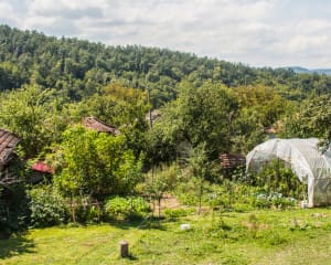 Bulgarien Roadtrip Highlights