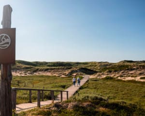 Essen gehen Sylt Tipps