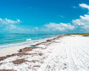 Florida Caladesi Island Strand Clearwater St. Petersburg Sehenswürdigkeiten