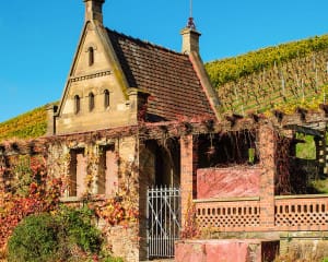 Heilbronn Geheimtipps Weinberghaus
