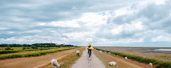Insel Fehmarn Ostsee Tipps Erfahrung