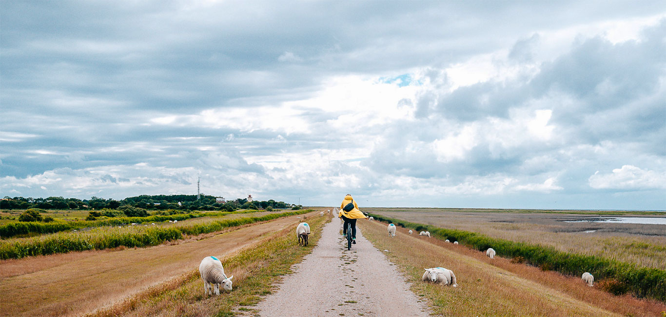 Insel Fehmarn Ostsee Tipps Erfahrung