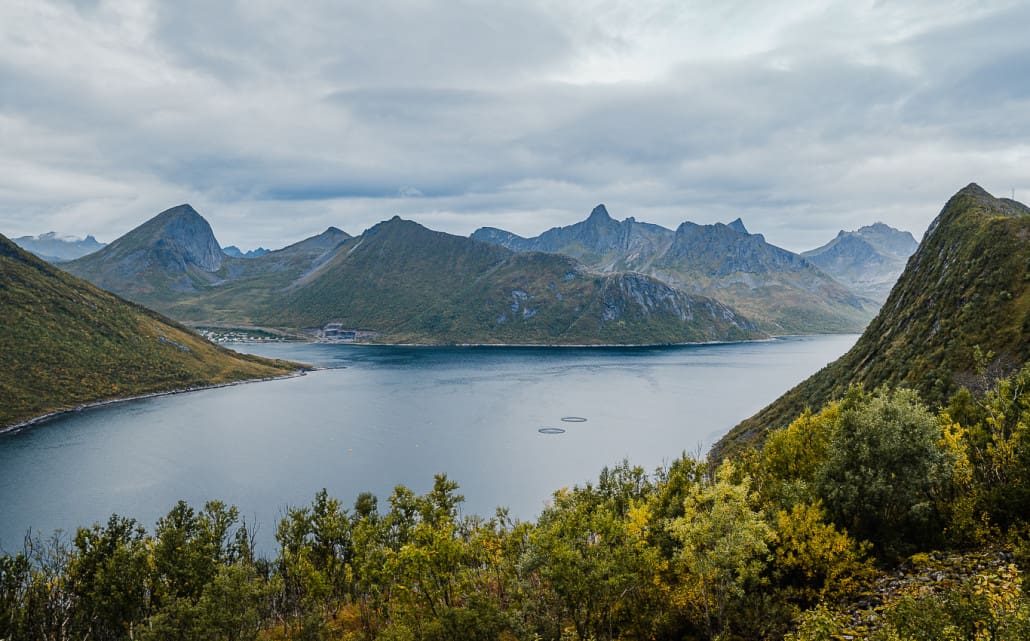 Insel Senja Nord-Norwegen