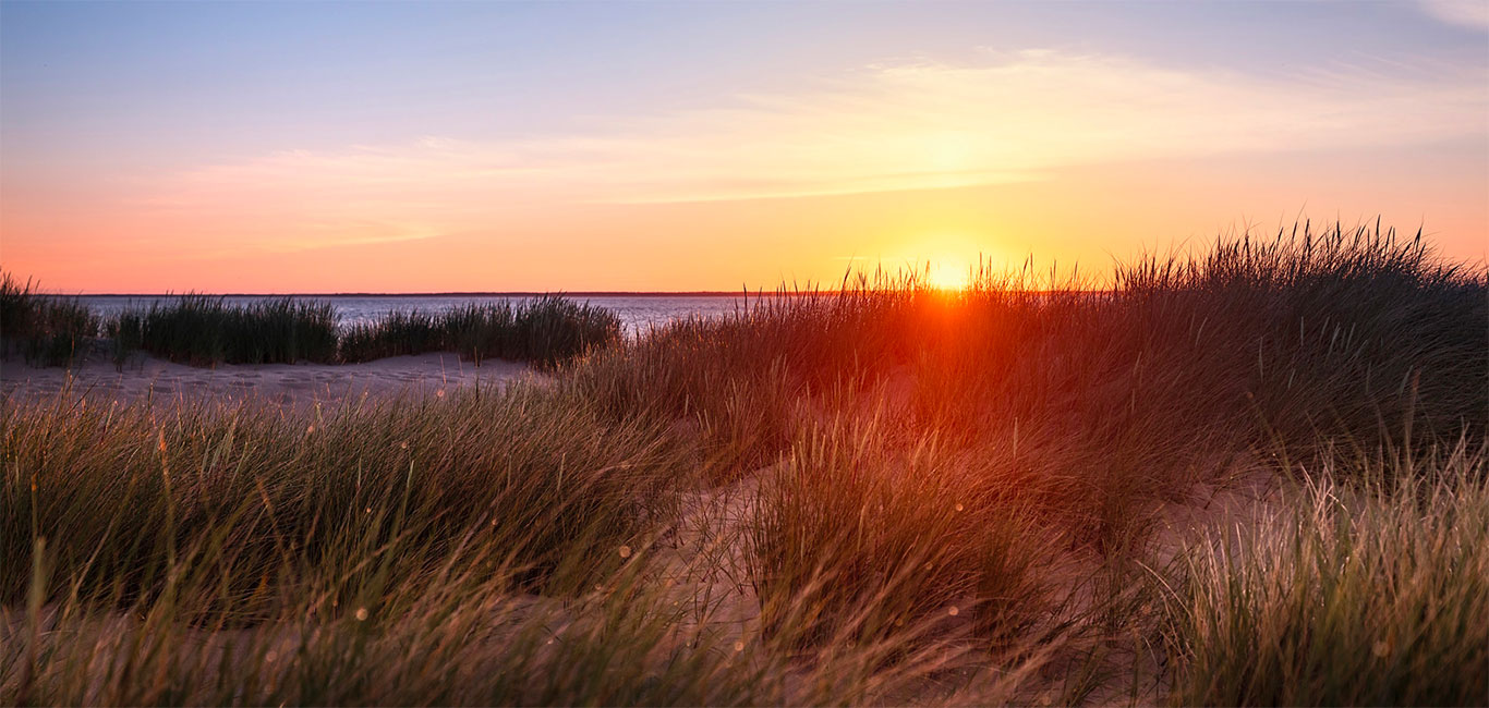 List auf Sylt: Sonnenaufgang am Ellenbogen