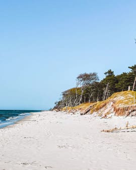 Mecklenburg-Vorpommern Ostsee Strand Darss