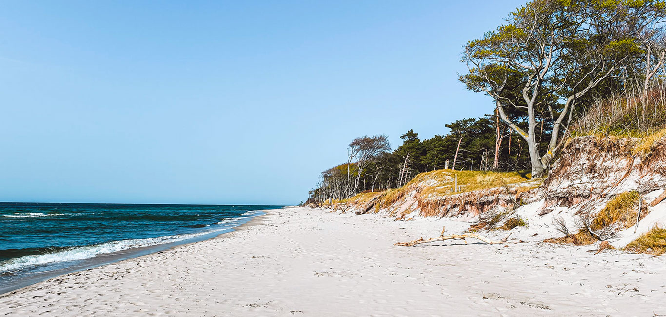 Mecklenburg-Vorpommern Ostsee Strand Darss