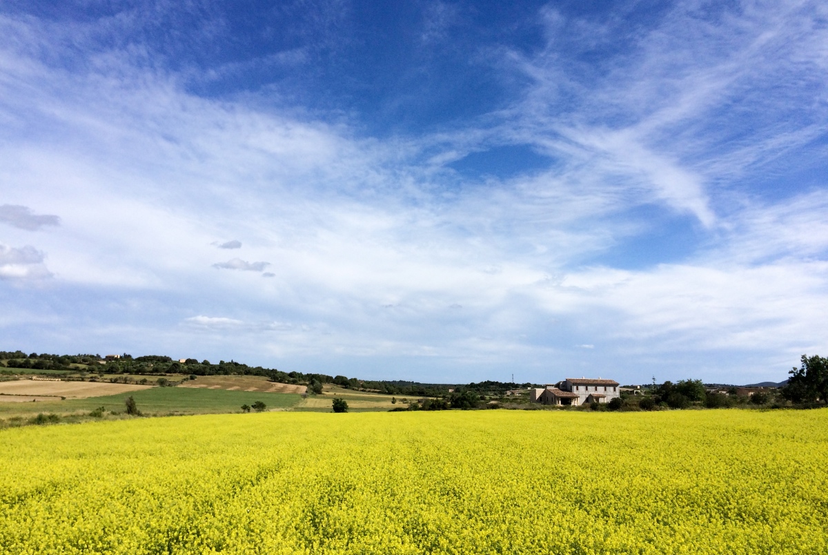 Ausblicke auf dem Via Verde auf Mallorca